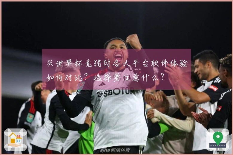 买世界杯竞猜时各大平台软件体验如何对比？选择要注意什么？