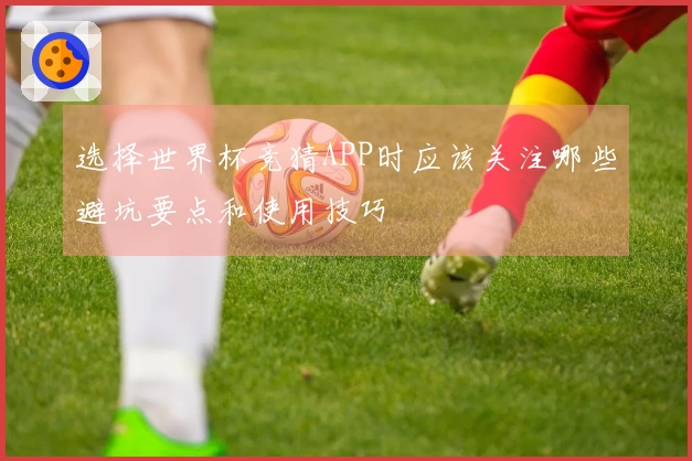 选择世界杯竞猜APP时应该关注哪些避坑要点和使用技巧