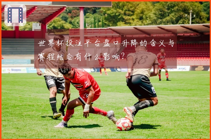 世界杯投注平台盘口升降的含义与赛程结合有什么影响？