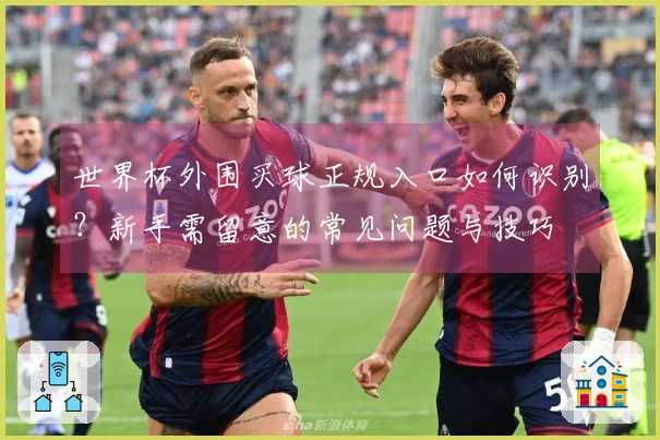 世界杯外围买球正规入口如何识别？新手需留意的常见问题与技巧