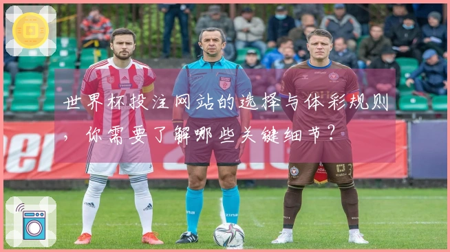 世界杯投注网站的选择与体彩规则，你需要了解哪些关键细节？