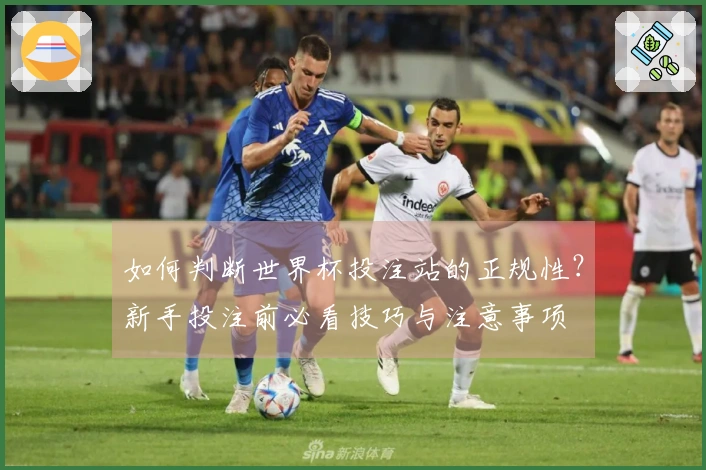 如何判断世界杯投注站的正规性？新手投注前必看技巧与注意事项